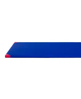 Žinenky Gymnastická žinenka inSPORTline Roshar T90 200x120x5 cm modrá
