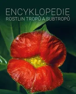 Okrasná záhrada Encyklopedie rostlin tropů a subtropů - Libor Kunte,Romana Rybková