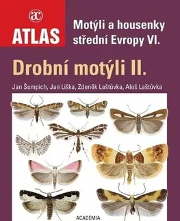 Biológia, fauna a flóra Motýli a housenky střední Evropy VI. - Drobní motýli II. - Kolektív autorov