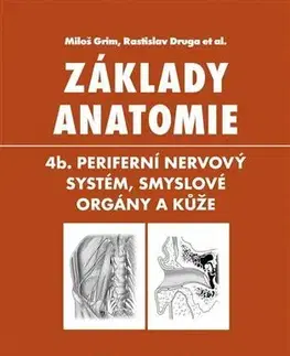 Anatómia Základy anatomie 4b. - Miloš Grim,Rastislav Druga,Kolektív autorov