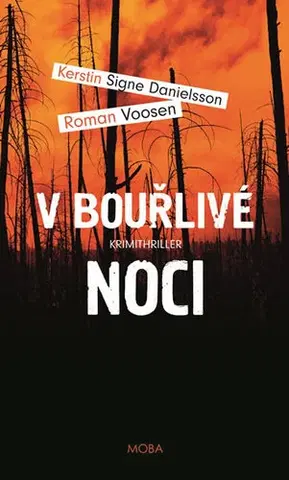 Detektívky, trilery, horory V bouřlivé noci - Roman Voosen,Kerstin Signe Danielsson