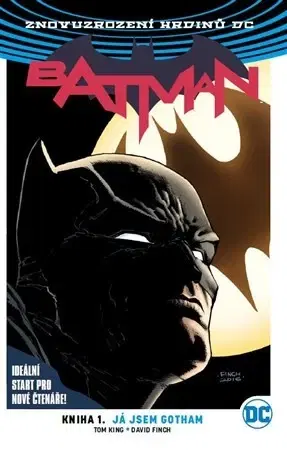 Komiksy Batman: Kniha 1. Já jsem Gotham (brož.) - Tom King,David Finch