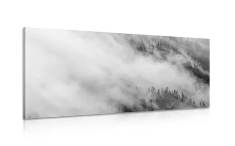 Čiernobiele obrazy Obraz čiernobiely hmlistý les