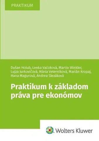 Pre vysoké školy Praktikum k základom práva pre ekonómov - Dušan Holub,Lenka Vačoková,Martin Winkler