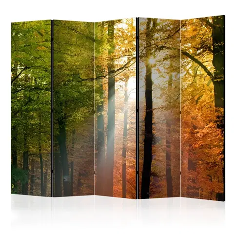 Paravány Paraván Forest Colours Dekorhome 225x172 cm (5-dielny)