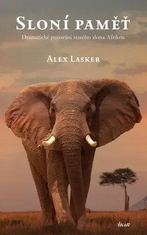 Svetová beletria Sloní paměť - Alex Lasker,Viktorie Košnarová