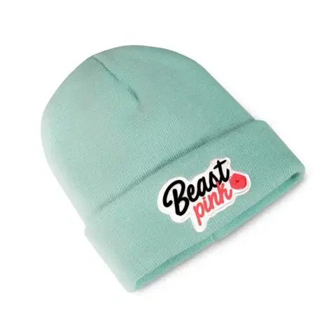 Šiltovky a čiapky Beastpink Zimná čiapka Beanie Mint  universaluni