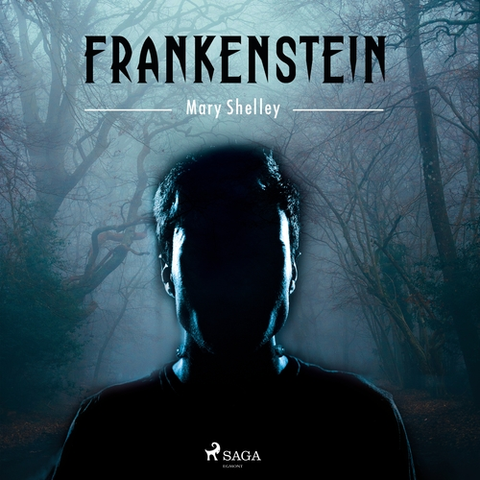 Detektívky, trilery, horory Saga Egmont Frankenstein (EN)