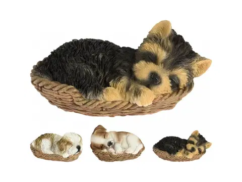 Sošky, figurky - zvieratá MAKRO - Dekorácia pes v košíku rôzne druhy