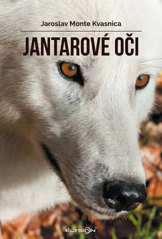 Príroda Jantarové oči 2. vydání - Jaroslav M. Kvasnica