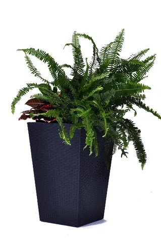 Kvetináče a truhlíky Květináč RATTAN PLANTER Keter 39x39x57 cm