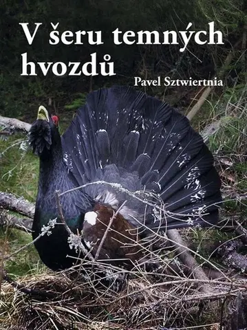Česká beletria V šeru temných hvozdů - Pavel Sztwiertnia