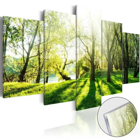 Obrazy na skle Obraz sýtozelený les na akrylátovom skle - Green Glade