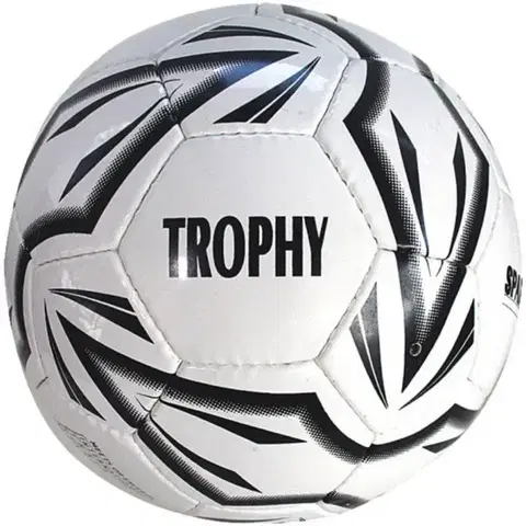 Futbalové lopty Futbalová lopta - SPARTAN Trophy veľ. 4