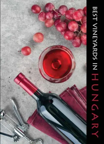 Víno Best Vineyards in Hungary - Ildikó Kolozsvári
