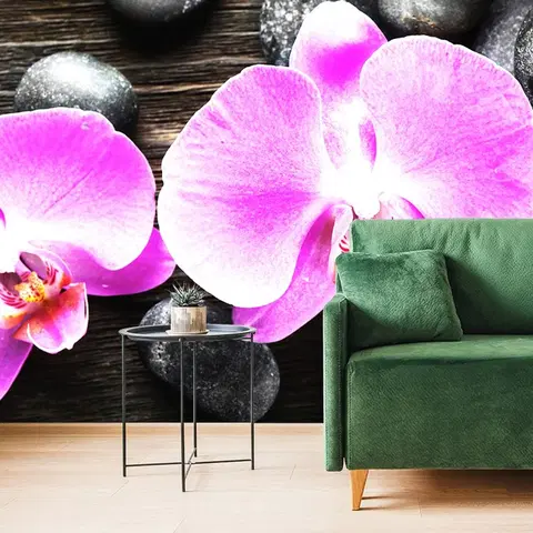 Tapety Feng Shui Fototapeta nádherná orchidea a kamene