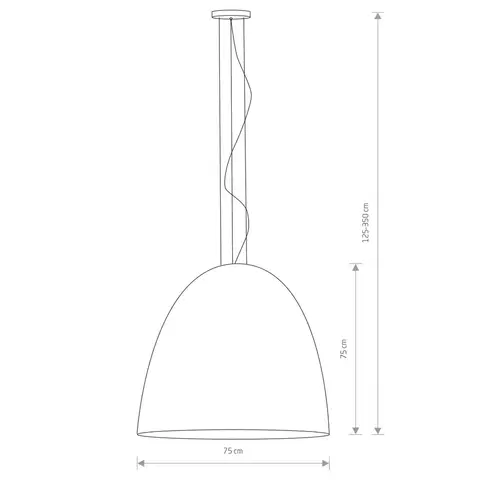 Závesné svietidlá Euluna Kovové závesné svietidlo Egg XL, Ø 75 cm, čierne