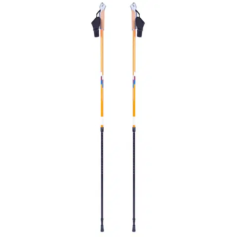 Trekingové palice Nordic walking palice inSPORTline Potosi