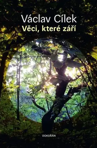 Eseje, úvahy, štúdie Věci, které září - Václav Cílek