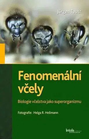 Hmyz Fenomenální včely, 4. vydání - Jürgen Tautz