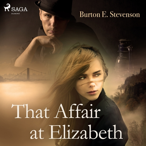 Detektívky, trilery, horory Saga Egmont That Affair at Elizabeth (EN)