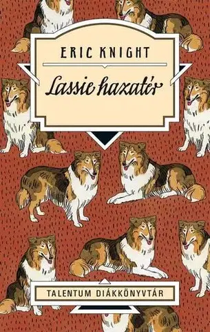 Pre deti a mládež - ostatné Lassie hazatér - Eric Knight,Zoltán Komló