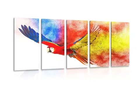Obrazy zvierat 5-dielny obraz let papagája