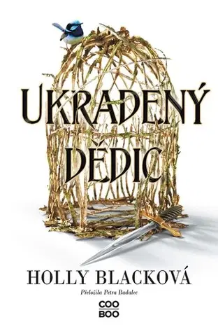 Fantasy, upíri Ukradený dědic - Holly Black,Petra Badalec