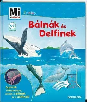 Príroda Mi MICSODA JUNIOR - Bálnák és delfinek 25. - Elisabeth Kiefmann