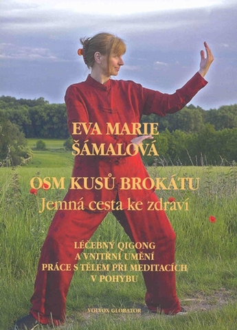 Mystika, proroctvá, záhady, zaujímavosti Osm kusů brokátu - Marie Eva Šamalová