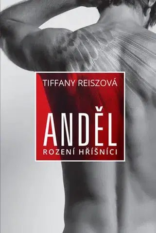 Erotická beletria Anděl - Tiffany Reisz,Miroslav Gruber
