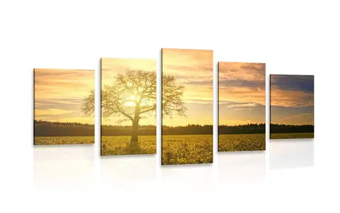 Obrazy stromy a listy 5-dielny obraz osamelého stromu