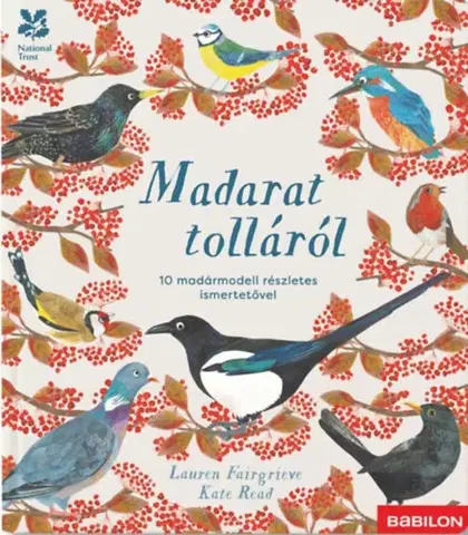 Pre deti a mládež - ostatné Madarat tolláról - 10 madármodell részletes ismertetővel - Lauren Fairgrieve