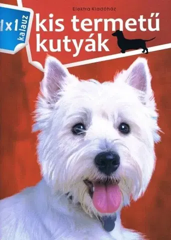 Psy, kynológia Kis termetű kutyák - 1x1 kalauz - István Bernáth