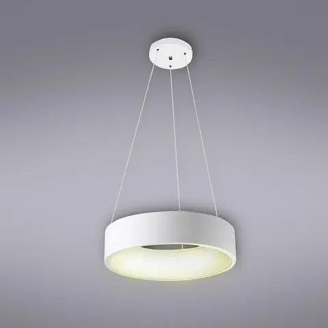 Moderné lampy do obývačky Lampa Adeline 2509 LED 26W LW