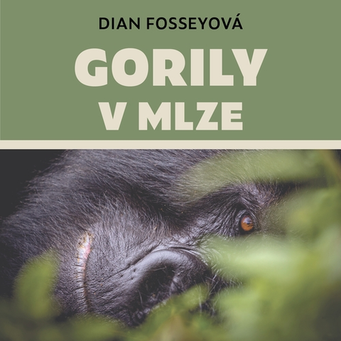 Odborná a populárno-náučná literatúra Tympanum Gorily v mlze