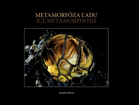 Fotografia Metamorfóza ľadu / Ice Metamorphosis - Albert Russ