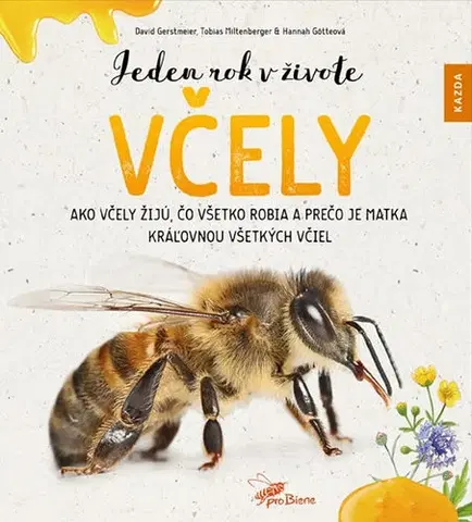 Biológia, fauna a flóra Jeden rok v živote včely - Kolektív autorov,Lenka Fifková Školníková