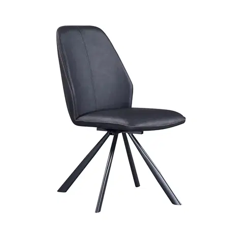 Stoličky Otočná jedálenská stolička, tmavosivá ekokoža/hnedá látka, PADRA