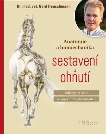 Kone Anatomie a biomechanika sestavení a ohnutí - Gerd Heuschmann