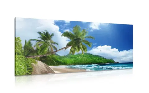 Obrazy prírody a krajiny Obraz nádherná pláž na ostrove Seychely