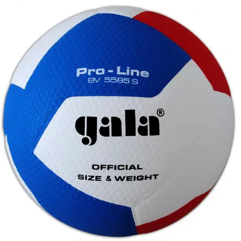 Volejbalové lopty GALA Pro Line BV5585S