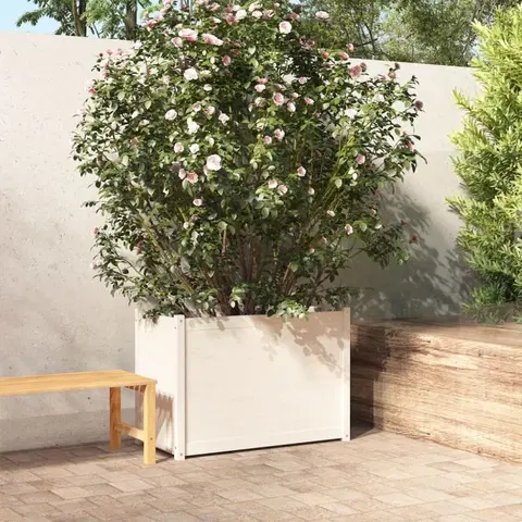 Vyvýšené záhony Záhradný kvetináč borovice Dekorhome Biela