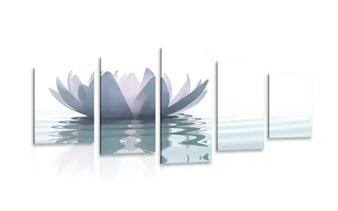 Obrazy Feng Shui 5-dielny obraz lotosový kvet