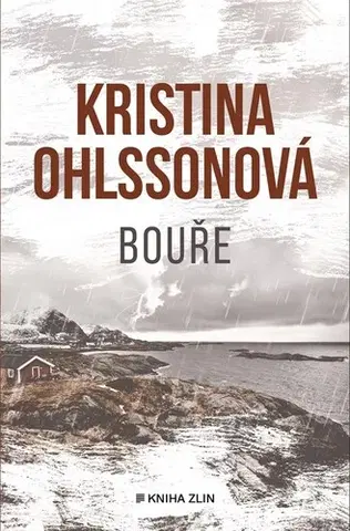 Detektívky, trilery, horory Bouře - Kristina Ohlsson