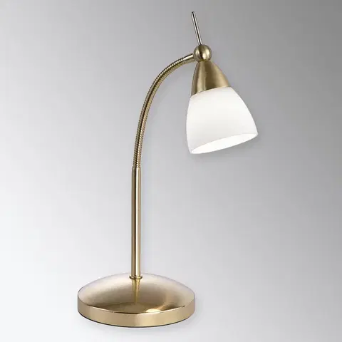 Stolové lampy Paul Neuhaus Mosadzná stolná LED lampa Pino so stmievačom