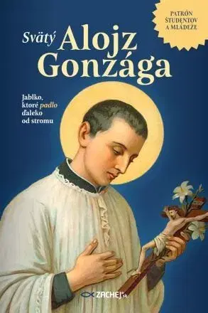 Náboženstvo Svätý Alojz Gonzága - Alois Hrudička