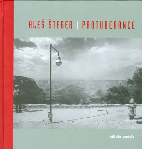 Svetová poézia Protuberance - Aleš Šteger,neuvedený