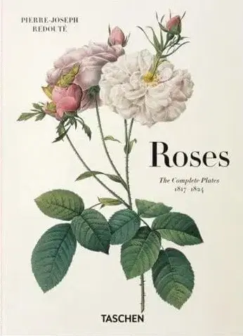 Maliarstvo, grafika Redouté - Roses - Pierre-Joseph Redouté