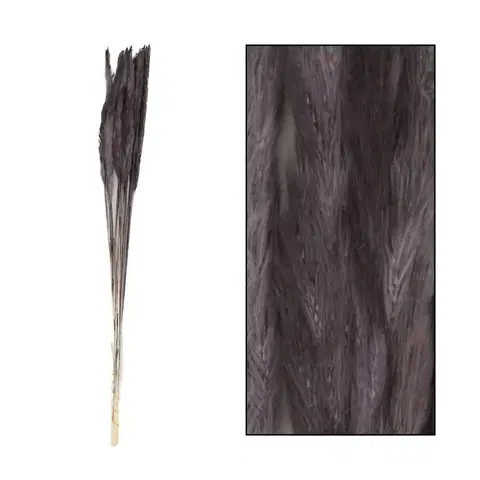 Záhradné dekorácie Umelá čierna pampová tráva 65-75 cm